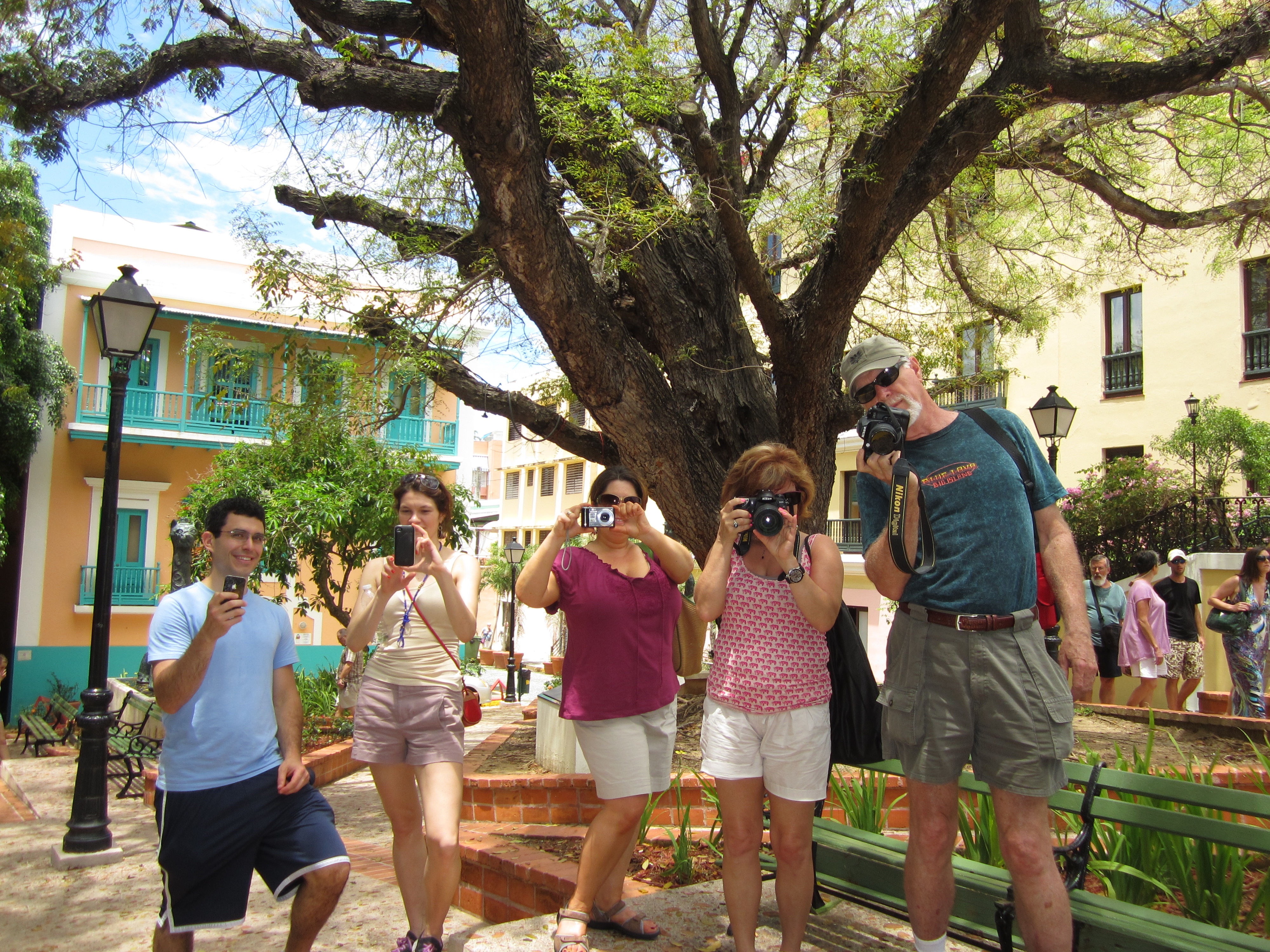 tourist at tree taking pictures in Puerto Rico