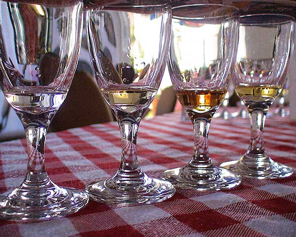 Puerto Rican Rum