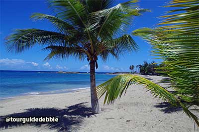 beach at Isabela, Puerto Rico